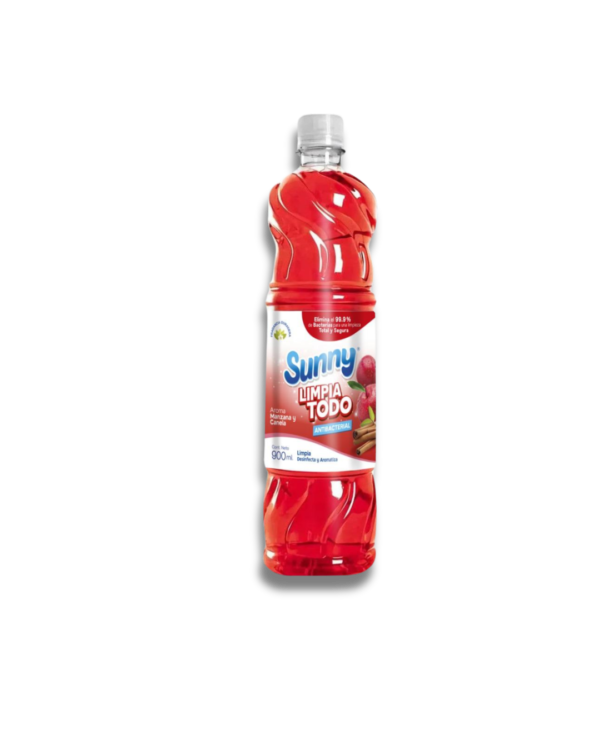 Limpia todo SUNNY Manzana y Canela