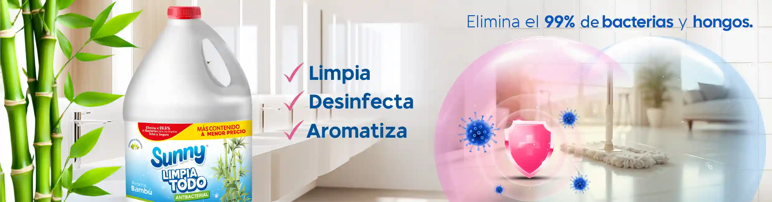 06_limpiatodo-opciòn-2 (1)